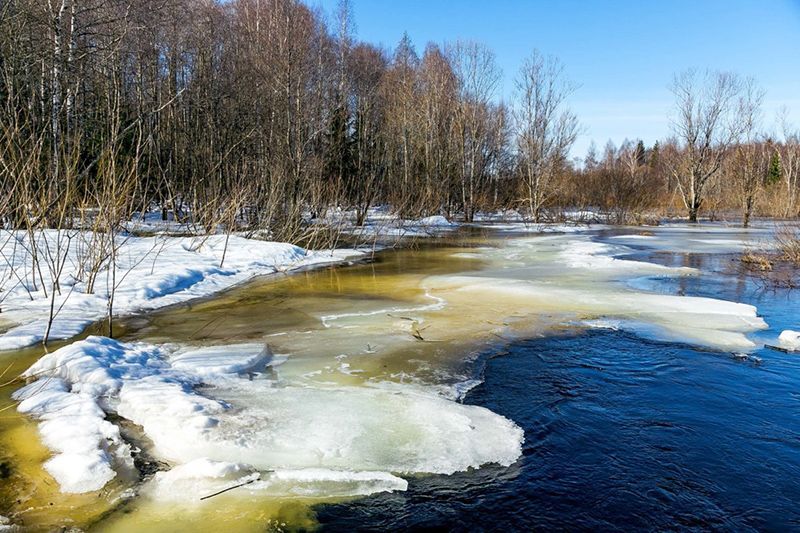 Весна в Зауралье.